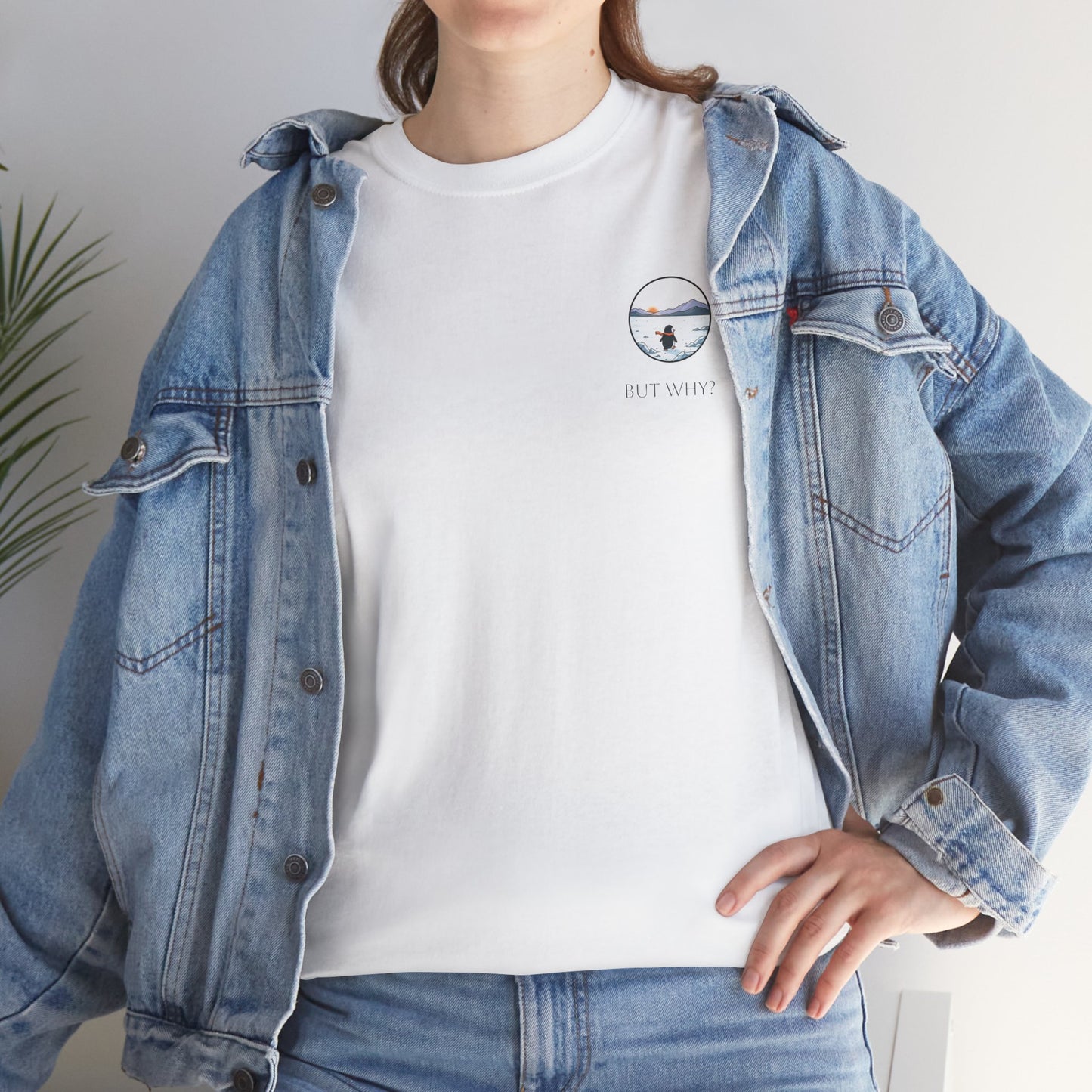 But why? T-Shirt Augsburgmemes